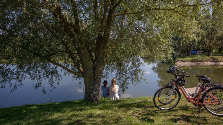 Zwei Personen sitzen im Schatten eines großen Baumes am Wasser, während Fahrräder am Ufer für eine ruhige Pause am Unstrutradweg abgestellt sind.